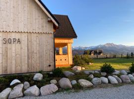 SOPA Zakopane, villa in Zakopane