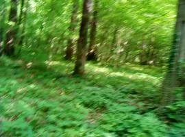Schönes Feriendomizil in Loosdorf