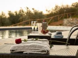 Il giardino sotto le stelle