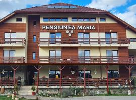 Pensiunea Maria, hotel with parking in Gilău