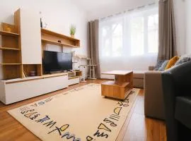 Apartment in the city center