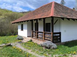 IT-Hutorok, country house in Tur'ya Pasika