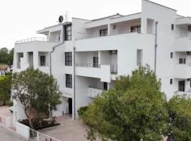Buzuku House