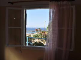 Evdilos apartments with a view, beach rental in Évdhilos