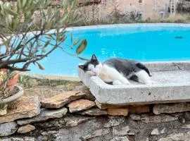 Aire Naturelle Camping Domaine de Mombret Haut