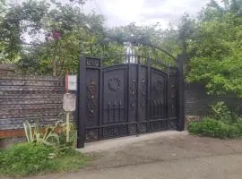 Private House in Batumi