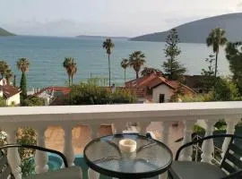 Petrovic house