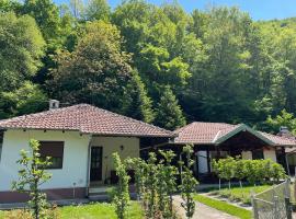 Vitez Koja, cabaña o casa de campo en Vrnjačka Banja