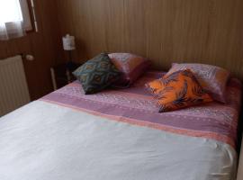 Les appartements du Lion de Belfort，位于贝尔福的酒店