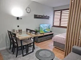 Apartman "PUZZLE" Bela Reka, Brzeće