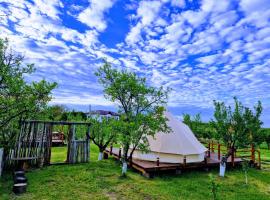 Glamping Livada cu lavanda, hotel de playa en Podişor
