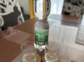 Palminas FeWo Diefflen