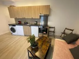 Paris Nordmann superbe appartement 2 pièces