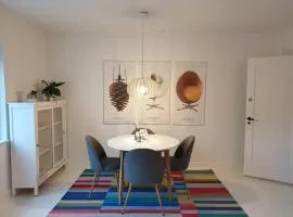 Charmerende lejlighed i Viby