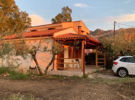 Olive Garden Home, vacation home in Apesokárion