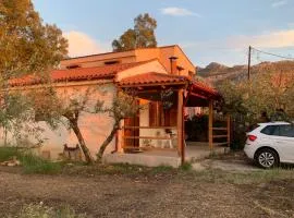 Olive Garden Home