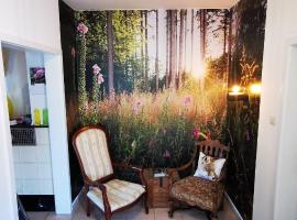 Ferienwohnung Palmenwald, hotel in Freudenstadt