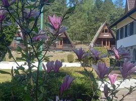 Domki Letniskowe KORMORAN