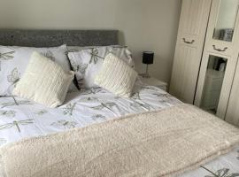 Homely property close to Princess Royal hospital and Apley Wood, günstiges Hotel in Wellington