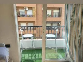 Arts and Sciens Museum/Beach