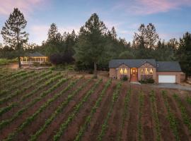 Vineyard Views 2BR House in Placerville, California, hotel que accepta animals a Placerville