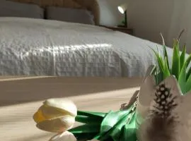 M Apartmani