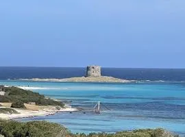 Casa vacanze Stintino vista golfo dell' Asinara con giardino - no giardino ad agosto