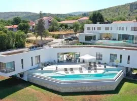 Modern and luxurious villa with swimming pool in Zmijavci