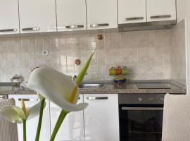 Studio apartment Novak – apartament w mieście Čilipi