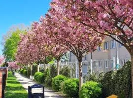 Apartament Wiśniowy Ogród z garażem