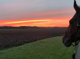 Onze boerderij, bed & breakfast i Hoogersmilde