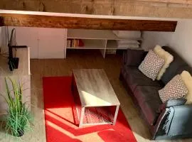 Appartement Duplex Forclaz