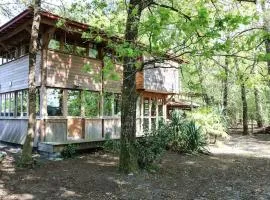 La cabane sous les pins