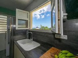 Vaste appartement vue Rocher du Diamant