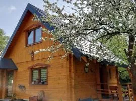 Domek Eva - Polanica Zdrój centrum