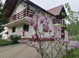VoroLand