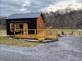 New Construction Pet Friendly Tiny Home W/ Hot Tub, hotel em Sevierville
