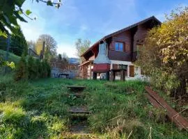 Chalet in Vosges near Rouge Gazon Ski Resort