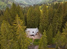 Vilele Voineasa, villa en Voineasa