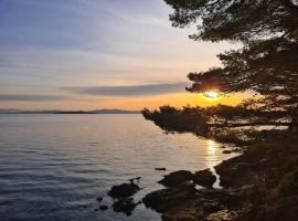 Apartment Zaglav 3 - first sea row, hotel di Zaglav