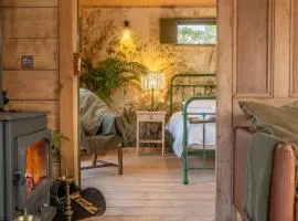 Olive Tree House