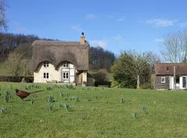 Field Cottage