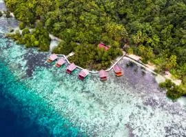 Methos Homestay - Raja Ampat