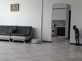 Tbilisi house