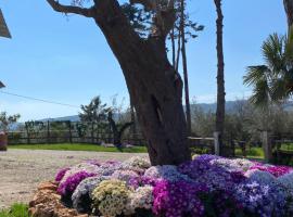 Casa Vacanza Capozzoli, villa in Albanella