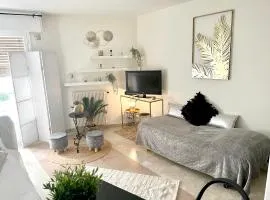 Studio charmant au cœur de Cannes avec balcon et parking