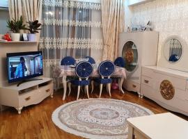 Private cozy room next to metro Garayev, guest house in Baku