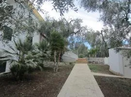 Villa Elisa