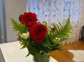 Apartment in the city center, place to stay in Varaždin