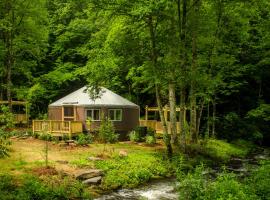 Creekside Cove Luxury Yurt - Creekside Glamping with Private Hot Tub، مكان تخييم فخم في Topton